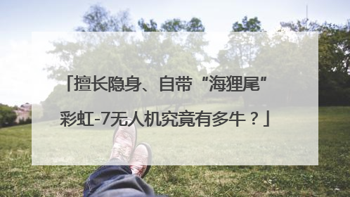 擅长隐身、自带“海狸尾” 彩虹-7无人机究竟有多牛？