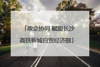政企协同 赋能长沙高铁新城自贸经济圈