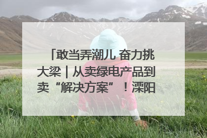 敢当弄潮儿 奋力挑大梁｜从卖绿电产品到卖“解决方案”！溧阳立足产业优势建成五大微电网示范项目