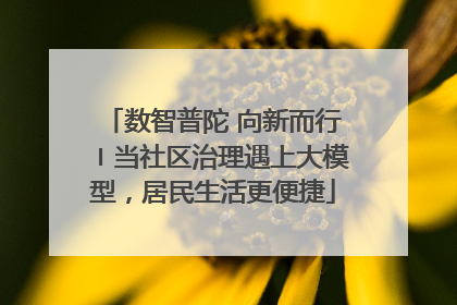 数智普陀 向新而行〡当社区治理遇上大模型，居民生活更便捷