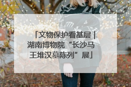 文物保护看基层｜湖南博物院“长沙马王堆汉墓陈列”展