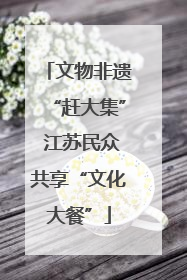 文物非遗“赶大集” 江苏民众共享“文化大餐”
