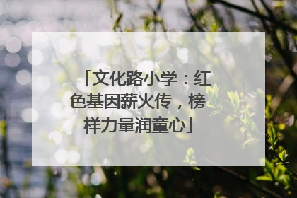 文化路小学：红色基因薪火传，榜样力量润童心