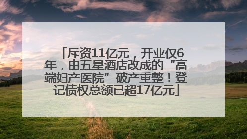斥资11亿元，开业仅6年，由五星酒店改成的“高端妇产医院”破产重整！登记债权总额已超17亿元
