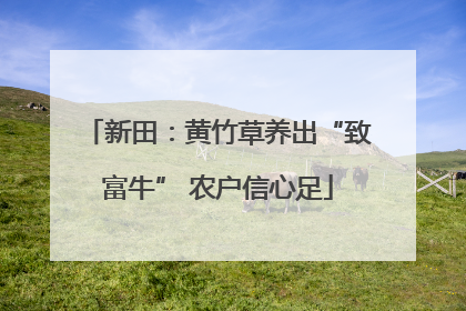 新田：黄竹草养出“致富牛” 农户信心足