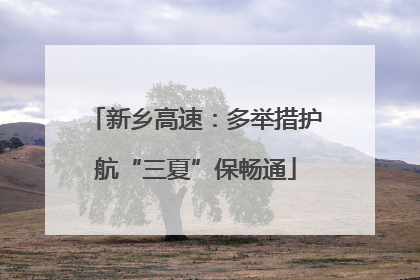 新乡高速：多举措护航“三夏”保畅通