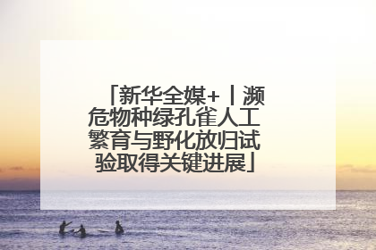 新华全媒+丨濒危物种绿孔雀人工繁育与野化放归试验取得关键进展