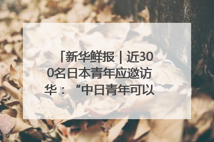 新华鲜报｜近300名日本青年应邀访华：“中日青年可以创造更好的未来”