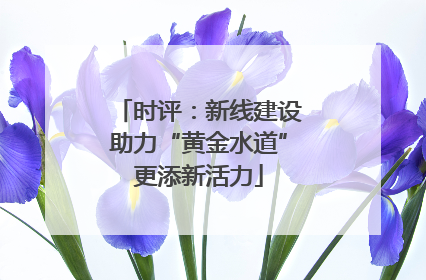 时评：新线建设助力“黄金水道”更添新活力