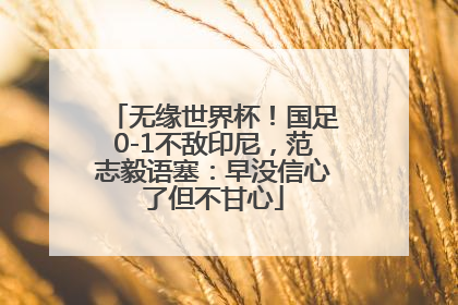 无缘世界杯！国足0-1不敌印尼，范志毅语塞：早没信心了但不甘心