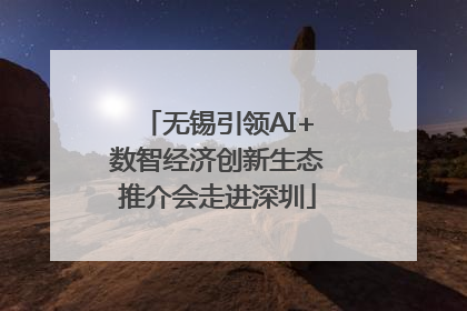 无锡引领AI+数智经济创新生态推介会走进深圳
