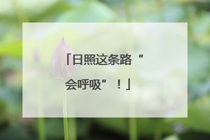 日照这条路“会呼吸”！