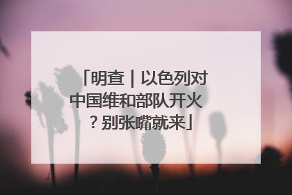 明查｜以色列对中国维和部队开火？别张嘴就来
