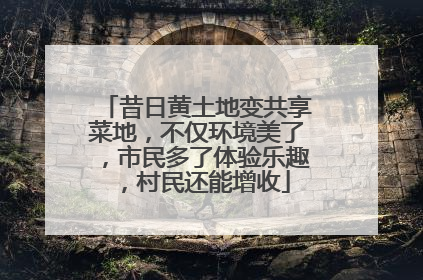 昔日黄土地变共享菜地，不仅环境美了，市民多了体验乐趣，村民还能增收