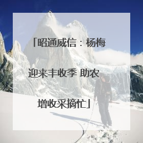 昭通威信：杨梅迎来丰收季 助农增收采摘忙