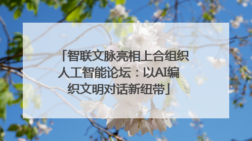 智联文脉亮相上合组织人工智能论坛：以AI编织文明对话新纽带