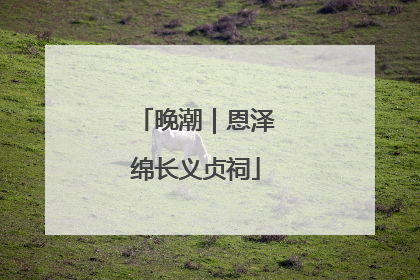 晚潮|恩泽绵长义贞祠