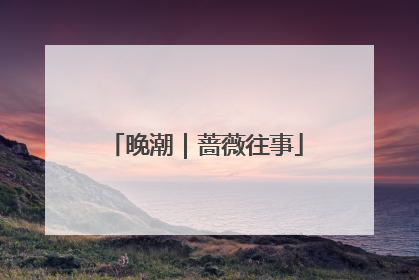 晚潮｜蔷薇往事