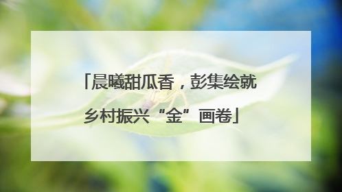 晨曦甜瓜香，彭集绘就乡村振兴“金”画卷