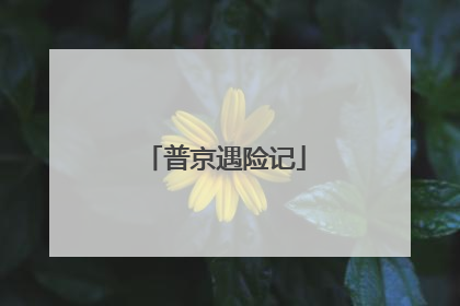 普京遇险记