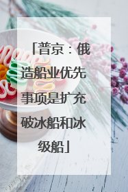 普京：俄造船业优先事项是扩充破冰船和冰级船