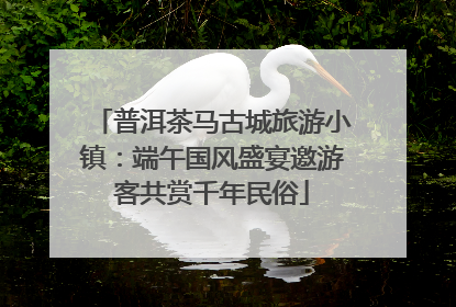 普洱茶马古城旅游小镇：端午国风盛宴邀游客共赏千年民俗