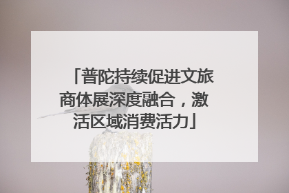 普陀持续促进文旅商体展深度融合，激活区域消费活力