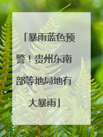 暴雨蓝色预警！贵州东南部等地局地有大暴雨