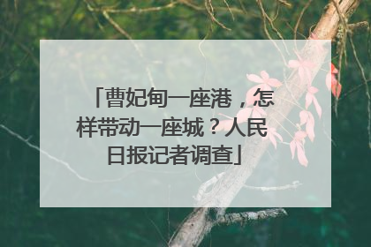 曹妃甸一座港，怎样带动一座城？人民日报记者调查