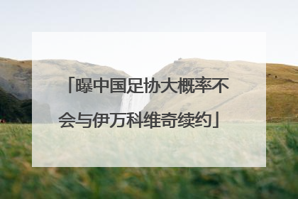 曝中国足协大概率不会与伊万科维奇续约