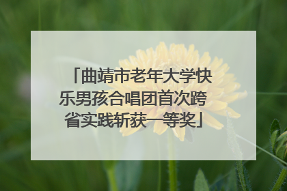 曲靖市老年大学快乐男孩合唱团首次跨省实践斩获一等奖