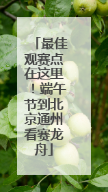 最佳观赛点在这里！端午节到北京通州看赛龙舟
