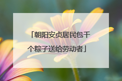 朝阳安贞居民包千个粽子送给劳动者