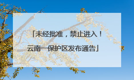 未经批准，禁止进入！云南一保护区发布通告