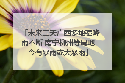 未来三天广西多地强降雨不断 南宁柳州等局地今有暴雨或大暴雨