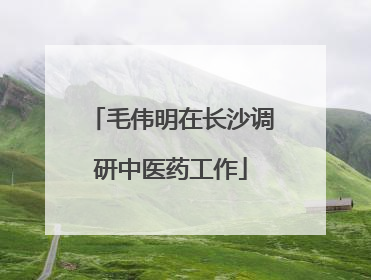 毛伟明在长沙调研中医药工作