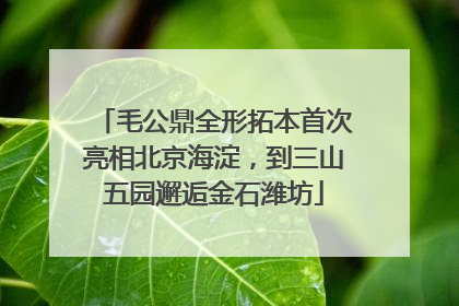 毛公鼎全形拓本首次亮相北京海淀，到三山五园邂逅金石潍坊
