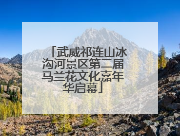 武威祁连山冰沟河景区第二届马兰花文化嘉年华启幕