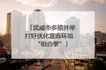 武威市多措并举打好优化营商环境“组合拳”
