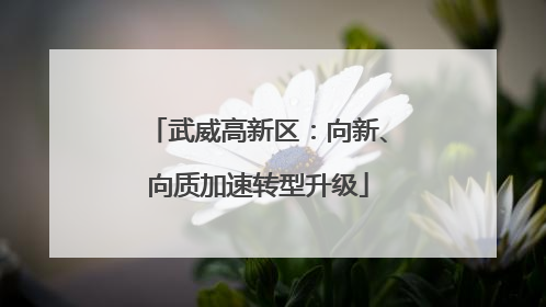 武威高新区：向新、向质加速转型升级