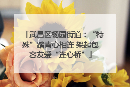 武昌区杨园街道：“特殊”踏青心相连 架起包容友爱“连心桥”