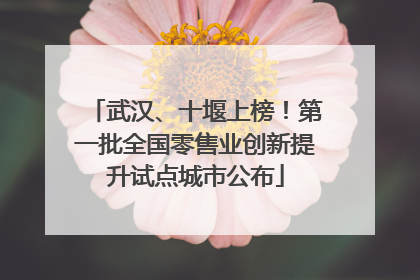 武汉、十堰上榜！第一批全国零售业创新提升试点城市公布