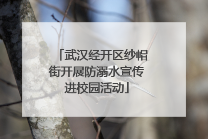 武汉经开区纱帽街开展防溺水宣传进校园活动