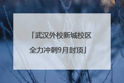 武汉外校新城校区全力冲刺9月封顶