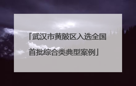 武汉市黄陂区入选全国首批综合类典型案例