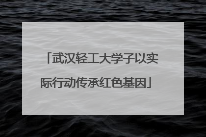 武汉轻工大学子以实际行动传承红色基因