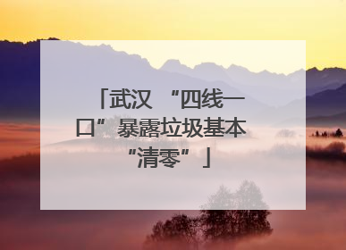 武汉 “四线一口”暴露垃圾基本 “清零”