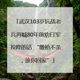 武汉103岁抗战老兵再喊80年前劝日军投降的话 “缴枪不杀，放你回家”