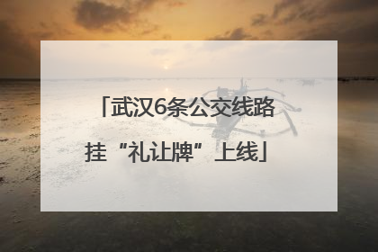 武汉6条公交线路挂“礼让牌”上线