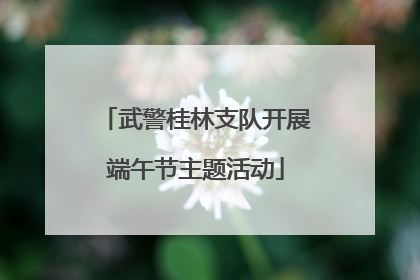 武警桂林支队开展端午节主题活动